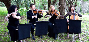 String Quartets